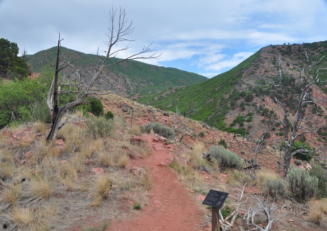 The Storm King Fourteen Memorial Trail